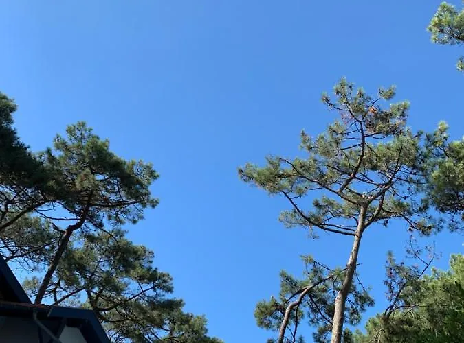 Willa Mamychou Lacanau