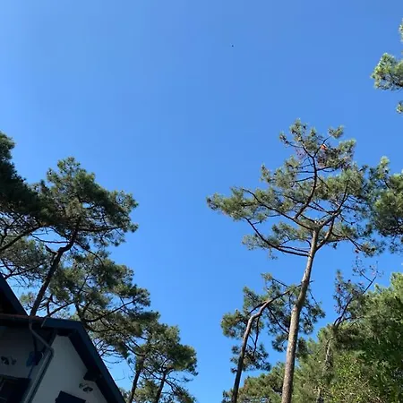 Villa Mamychou Lacanau